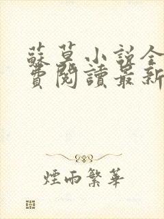 苏莫小说全文免费阅读最新章节封面