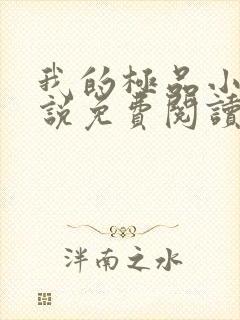 我的极品小姨小说免费阅读