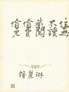 偷偷藏不住全文免费阅读无弹窗