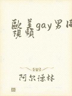 欧美gay男同视频
