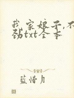 我家娘子,不对劲txt全本