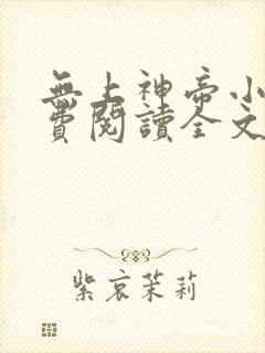 无上神帝小说免费阅读全文无弹窗封面