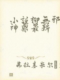 小说柳无邪吞天神鼎最新