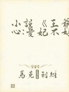 小说 《王爷当心:爱妃不好惹》