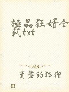 极品狂婿全本下载txt