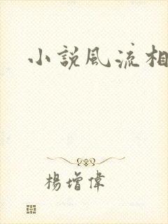 小说风流相师