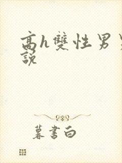 高h双性男男小说