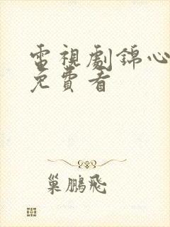 电视剧锦心似玉免费看封面