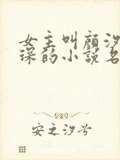 女主叫颜汐陆霆琛的小说名字