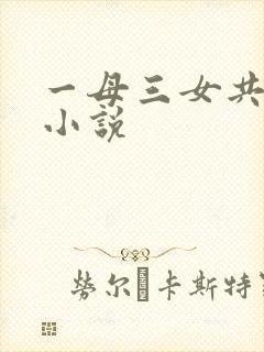 一母三女共一婿小说