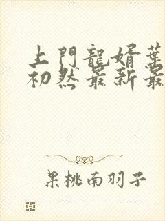上门龙婿叶辰萧初然最新最快封面