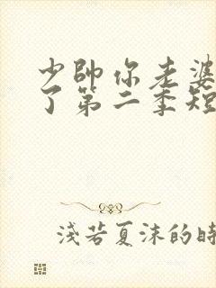 少帅你老婆又跑了第二季短剧免费观看封面