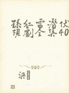 孙红雷潜伏者电视剧全集40集免费观看封面