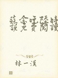 苏念晚陆时衍小说免费阅读最新章节封面