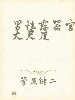 男性露器官进去大尺度