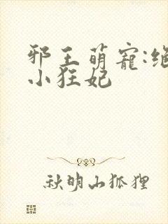 邪王萌宠:绝色小狂妃