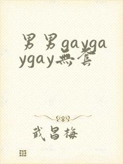 男男gaygaygay无套