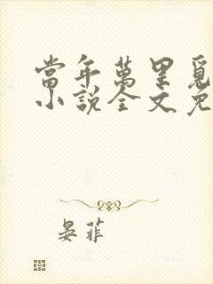 当年万里觅封侯小说全文免费阅读