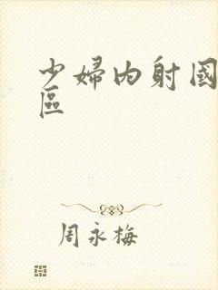 少妇内射国产二区