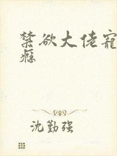 禁欲大佬宠妻上瘾