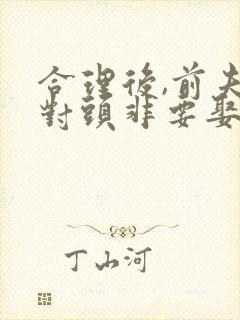 合理后,前夫死对头非要娶我