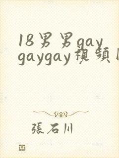 18男男gaygaygay视频网站封面