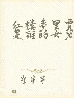 红楼梦里贾元春是谁的女儿封面