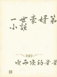一世豪婿第二部小说
