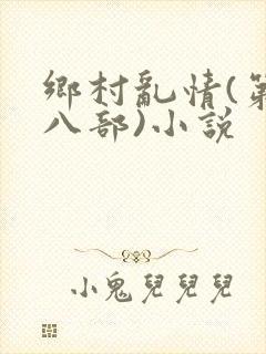 乡村乱情(第十八部)小说