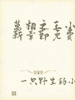 万相之王小说最新章节免费阅读全文封面