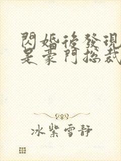 闪婚后发现老公是豪门总裁 全本封面