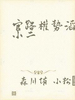 官路权势滔天赵小二