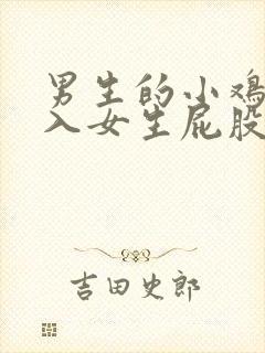 男生的小鸡鸡插入女生屁股里的视频