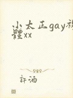 小太正gay裸体xx