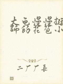 大龟慢慢挺进老师的花苞小说