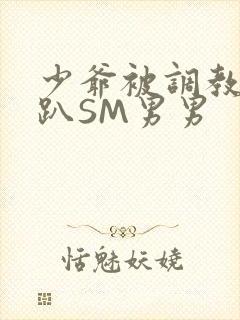 少爷被调教室跪趴SM男男