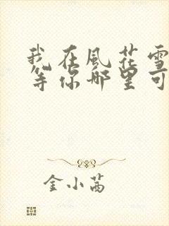 我在风花雪月里等你哪里可以听封面