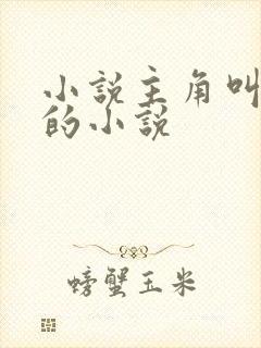 小说主角叫江浩的小说