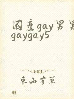 国产gay男男gaygay5