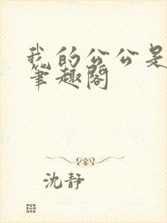 我的公公是康熙笔趣阁