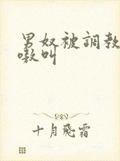 男奴被调教的嗷嗷叫