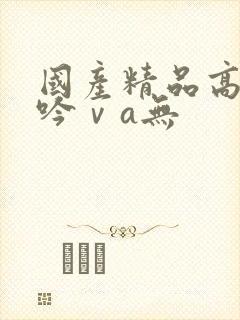 国产精品高潮呻吟ⅴa无