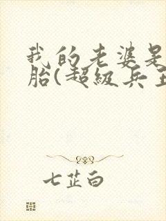 我的老婆是双胞胎(超级兵王在都市)