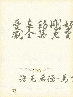 爱来的刚好电视剧全集免费观看封面