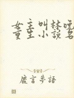 女主叫林晚晚的重生小说名字
