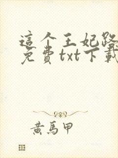 这个王妃路子野免费txt下载
