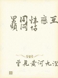 男同性恋互操视频网站