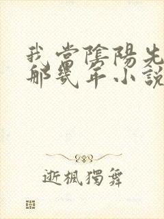 我当阴阳先生的那几年小说免费版