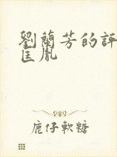 刘兰芳的评书赵匡胤