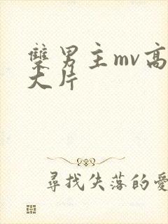 双男主mv高清大片